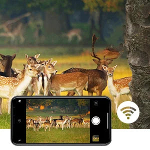 Suntek 4K WIFI Trail Camera  🦌📷🌙